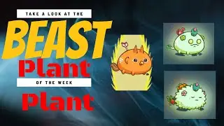Beast Soothing Plant Backdoor killer Meta Killer  Axie
