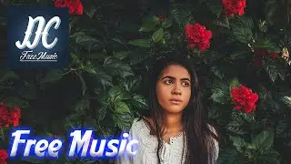 NAWN & &Auml;HAM - Blossom |🎵 No Copyright Music 🎧