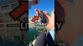 Пресноводные приманки в соленой воде! #видеорыбалки #рыбалка
