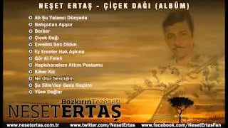 Neşet Ertaş - Ne Olur Sevdiğim