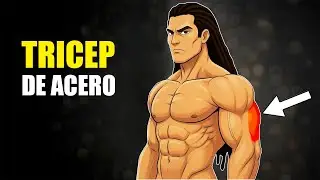 Solo 2 Ejercicios que Activan Todo el Tr&iacute;ceps