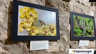 Bisegna, alla scoperta delle meraviglie celate nella natura del Parco