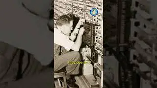 Why Do We Call It a &ldquo;Bug&rdquo;? The Shocking True Story!