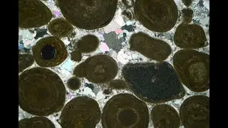 ESG 11 Oolitic limestone XPL rotate