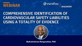 Comprehensive Identification of Cardiovascular Safety Liabilities Using a Totality of Evidence