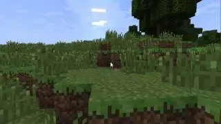 Minecraft Large NPC Village Seed 1.2.5