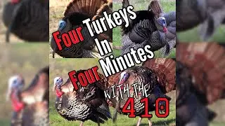 TAGGED OUT TURKEY HUNTING WITH 410 | Stevens 301T set-up (4 Turkeys harvested in 4 minutes)