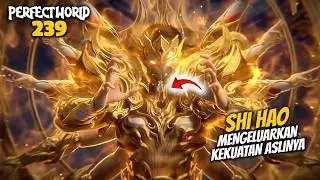 SHI HAO MENGELUARKAN KEKUATAN ASLINYA - ALUR CERITA PERFECT WORLD 239
