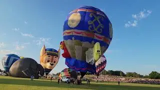The Voluntold Balloon - a sheep, a duck and a rooster on the board #planoballoonfestival2025