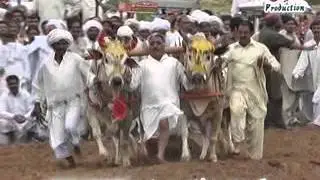 Padhrar karah 2014 Shadi Program Malik Irfan & Malik Kamran Shananu