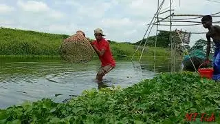 Amazing Fishing Video | Traditional Boy Catching Fish With Polo From Beautiful Natural