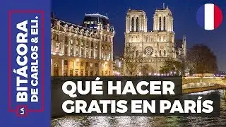 6 Días en París #1 :: Catedral de Notre Dame (Gratis) ✈🇫🇷