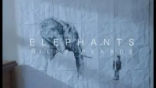 Elephants - Riley Pearce (Official Music Video)