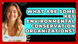 What Are Some Key Environmental Conservation Organizations? - Stress Free Mindset