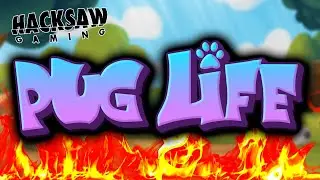 🐶Wild Lines🐶 | Pug Life Hacksaw Gaming Casino Big Win Freespins Bonus (ak)
