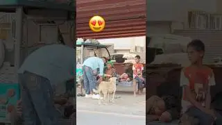 wait for end 😍🥹#shortvideo #trending #emotional #ytshorts #shortfeed #humanity #helpingpeople