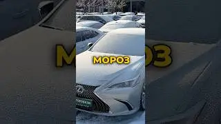 Як Себе Поводяться Електромобілі у Сильний Мороз?🤔 #tesla #xiaomi #audi #mercedes #autopodium