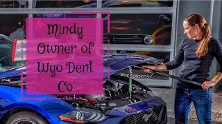 Paintless Dent Repair Business Owner