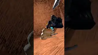 How to get a turkey🦃🍗🐓🐣🐤🐔🐥