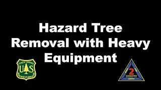 Hazard Tree Removal with Heavy Equipment
