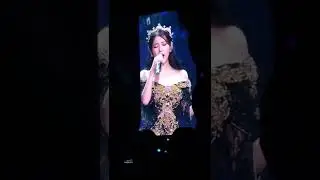 Jungkook at IU's concert