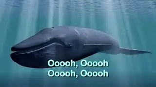 All i want.. The song of game blue whale 🐋.