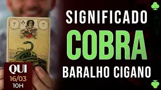 Significado carta Cobra - Baralho Cigano - Carta 7