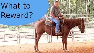Are you rewarding the right thing?