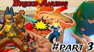 Unveiling the Secret of Anubis Breeding
