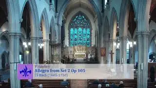 St Gabriel's Pimlico: Sung Mass, Second Sunday of Ordinary Time, 18th January 2026