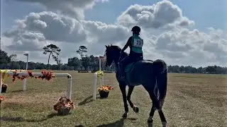 Legend Has It and Samantha Gamboa Open Novice POP Nov 2025