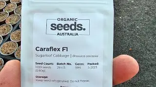 My top 6 favourite seed companies | organics Australia 🌱🌱