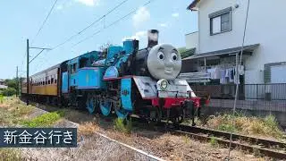 大井川鉄道　きかんしゃトーマス号（往復）