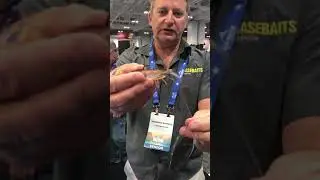 How to use CHASEBAITS Flick Prawn shrimp lure