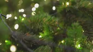 Warm White Solar Fairy Lights by Lytworx