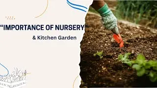 Importance of Nursery in Horticulture & Kitchen garden