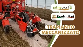 Tutorial trapianto piantine con trapiantatrice Checchi e Magli su carta per pacciamatura PrimePlant