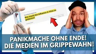 Gro&szlig;e Grippewelle! Medien im Panikmodus!