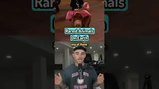 Rarest Animals On Earth