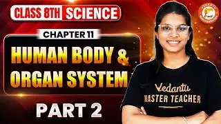 Human Body and Organ System Class 8 Part 2 | Science Class 8 Chapter 11 | MH BOARD | Vidhi Mam