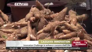 Cassava Innovation Challenge at the World Economic Forum for Africa.