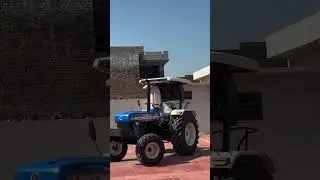 #punjab#farming#poplar#