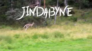 Exploring Jindabyne // VLOG
