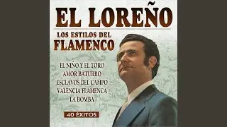 El Niño y el Toro (Pasodoble Con Fandango)