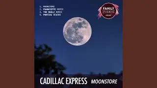 Moonstore (Pontias Remix)