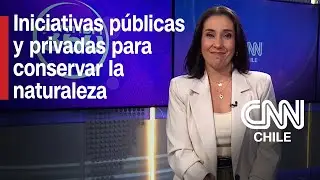 Conservaci&oacute;n, Biodiversidad y Fondos Ambientales en Chile | Futuro 360