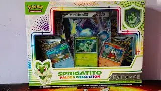 Pok&eacute;mon Sprigatito Paldea Collection Opening