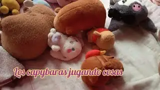 Video raro de los capybaras jugando 