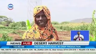 Climate-smart techniques turn drought into opportunity