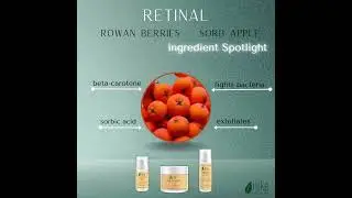 Retinal Ingredient Spotlight - Rowan Sorb Apple